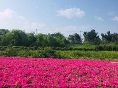 -门城湖公园