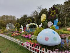 -上海共青森林公园