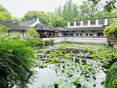 -上海醉白池公园
