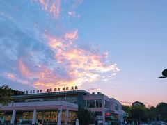 -浙江农林大学(东湖校区)