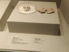 -南越王博物院(王宫展区)