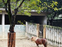 -成都动物园