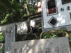 -严子陵钓台(富春江小三峡)