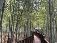 -陶祖圣境风景区