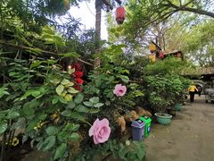 -园林美食城·本土农家菜(杨和镇店)