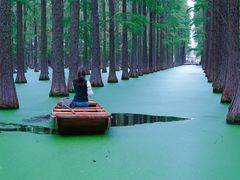 -渌洋湖湿地公园