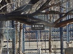 -途柚团建·拓展培训·年会策划