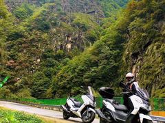 -牛背梁国家森林公园