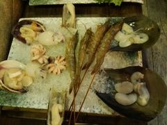 -海桐