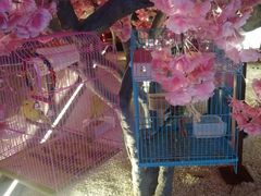 -蓝鲸湾汤泉(包河店)