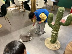 -飞行喵MR PILOT|猫舍·猫咖(静安大融城店)