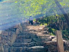 -北京鹫峰国家森林公园