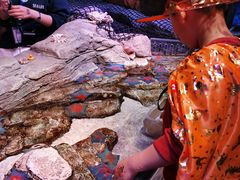 -沈阳海洋探索中心