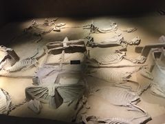 -洛阳周王城天子驾六博物馆