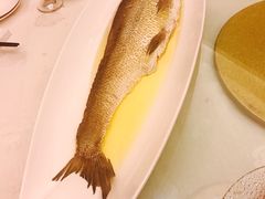 -金熙楼(熙南里店)