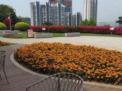 -狐尾山公园