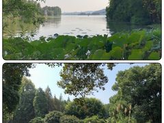 -东湖落雁景区