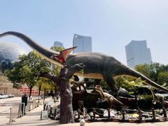 -陕西自然博物馆