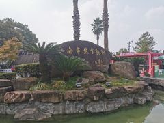-观潮胜地公园
