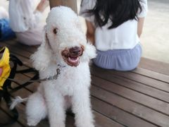 -栖露营camping·天幕烧烤·团建拓展·采摘营地