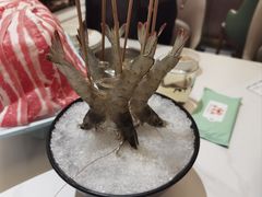 -帝皇海海鲜豆捞(桐泾商务广场店)