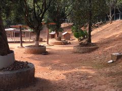 -泉州海丝野生动物世界