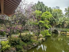 -柳侯公园