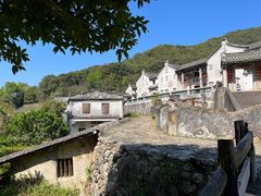 -雁南飞茶田景区