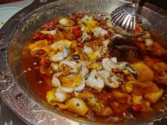 -雲蜀龙阁·金牌水煮鱼(方庄店)