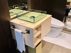 -上海柏悦酒店