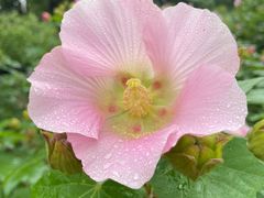 -南京信息职业技术学院-1食堂