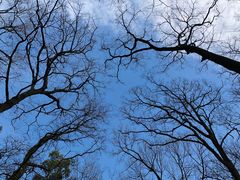 -一江春水·杭帮臻宴(三台山店)