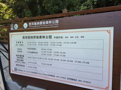 -西双版纳原始森林公园