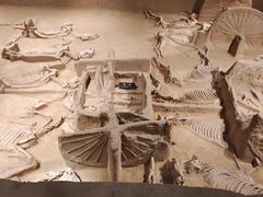 -洛阳周王城天子驾六博物馆