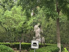 -滨河世纪广场公园