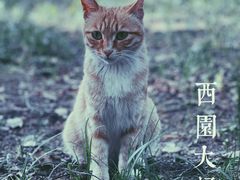 -西园寺