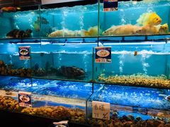 水产区-南海渔家•海鲜•正宗海南菜(海棠湾店)