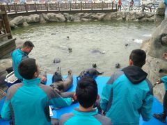 -华夏文旅海洋公园