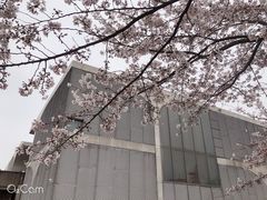 -龙美术馆(西岸馆)