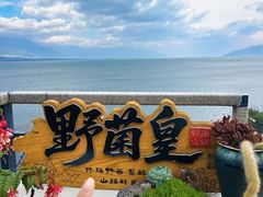 -野菌皇海景野生菌火锅(滨海大道店)