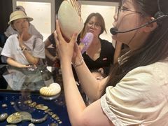 -青岛贝壳博物馆
