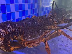 -映像威海·威海宴(威高广场店)