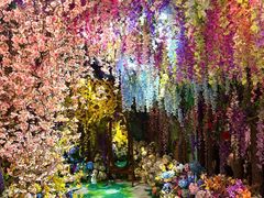 -正佳雨林生态植物园
