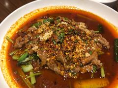 -眉州东坡(春秀路店)