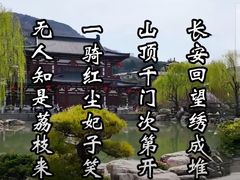 -华清宫景区