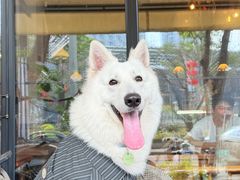 -MIMO CAFE(沙头角店)