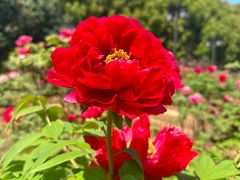 -幕燕滨江·长江观音景区