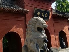 -洛阳白马寺