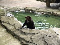 -南宁市动物园