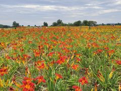-汉长安城未央宫国家考古遗址公园
